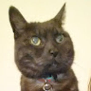 Meet your Posher, Chrystine